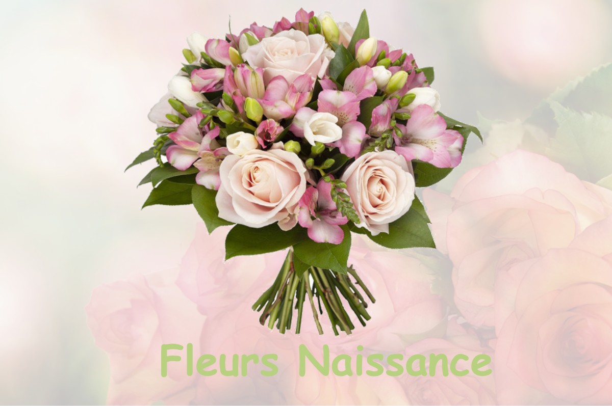 fleurs naissance PUITS-LA-VALLEE