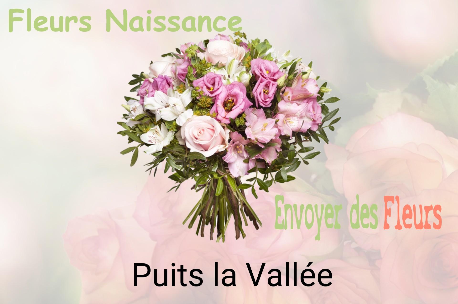 Bouquet de fleurs de naissance livré à Puits-la-Vallée