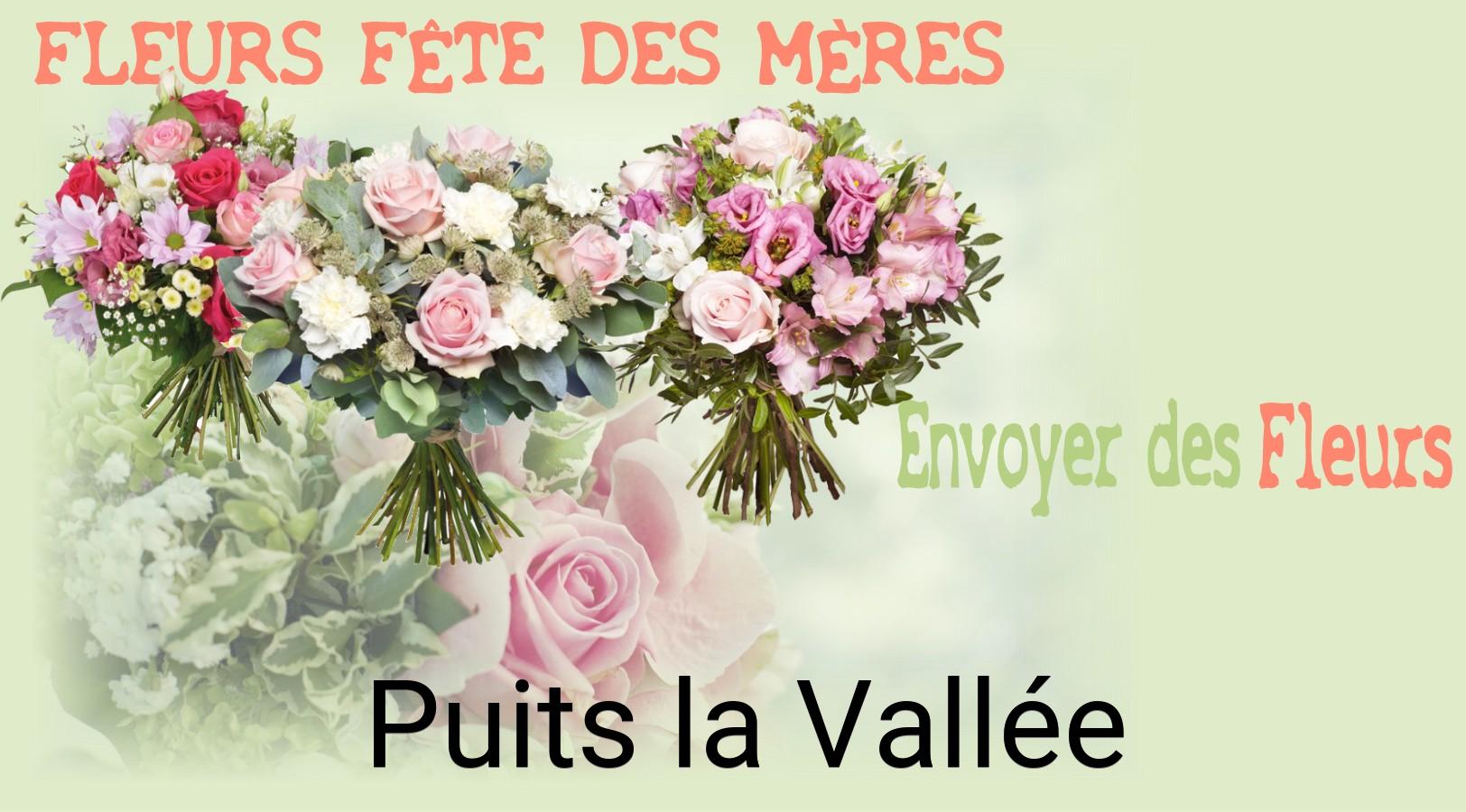 Bouquet de Fête des Mères livré à Puits-la-Vallée